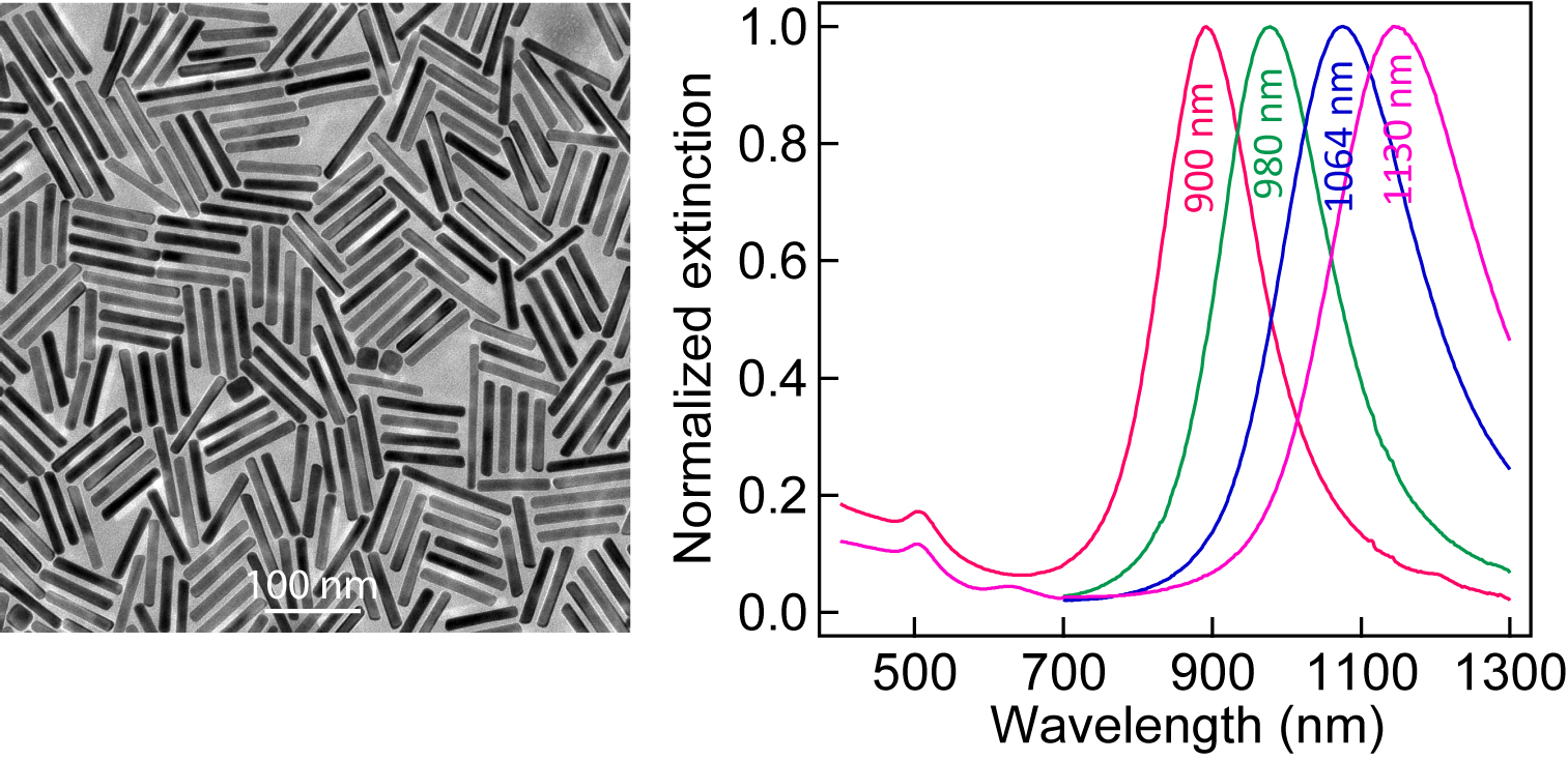 TEM%20ext%20long%20Au%20nanorods